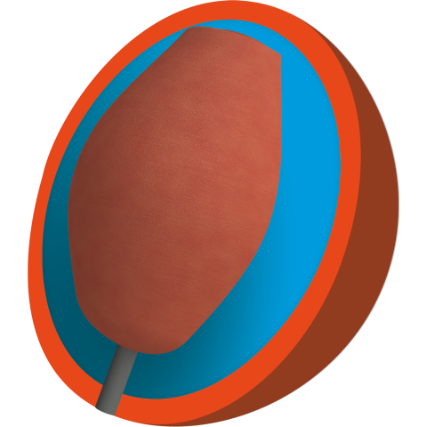 Columbia 300 Piranha Core